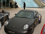Porsche из китовой кожи- фотография №6