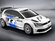 Polo R WRC 2013-  13