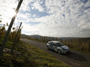 Polo R WRC 2013-  7